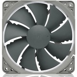 Noctua NF-P12 redux 900 Case per computer Ventilatore 12 cm Grigio Ventilatore, 12 cm, 900 Giri/min, 12,6 dB, 63,4 m³/h, Grigio