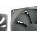 Noctua NF-P12 redux 900 Case per computer Ventilatore 12 cm Grigio, Ventola Ventilatore, 12 cm, 900 Giri/min, 12,6 dB, 63,4 m³/h, Grigio