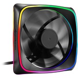 Sharkoon RGB SHARK Lights Case per computer Ventilatore 12 cm Nero, Ventola Nero, Ventilatore, 12 cm, 1000 Giri/min, 15,2 dB, 56 m³/h, Nero