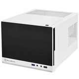 SilverStone SG13 Mini Tower Nero, Bianco bianco/Nero, Mini Tower, PC, Nero, Bianco, Mini-ATX, Mini-DTX, Plastica, Acciaio, 6,1 cm