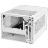 SilverStone SG13 Mini Tower Nero, Bianco, Alloggio a cubo bianco/Nero, Mini Tower, PC, Nero, Bianco, Mini-ATX, Mini-DTX, Plastica, Acciaio, 6,1 cm