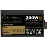 SilverStone SST-ST30SF V2.0, Alimentatore PC Nero