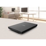 Canon CanoScan LiDE 300 Scanner piano 2400 x 2400 DPI A4 Nero Nero, 215,9 x 297,18 mm, 2400 x 2400 DPI, 48 bit, 48 bit, 16 bit, 8 bit