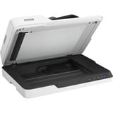 Epson WorkForce DS-1630, Scanner piano grigio/Nero, 210 x 297 mm, 1200 x 1200 DPI, 30 bit, 24 bit, 10 bit, 8 bit