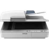 Epson WorkForce DS-6500 215,9 x 1016 mm, 1200 x 1200 DPI, 48 bit, 24 bit, Scanner piano e ADF, Bianco