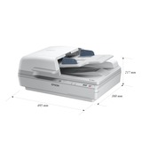 Epson WorkForce DS-6500 215,9 x 1016 mm, 1200 x 1200 DPI, 48 bit, 24 bit, Scanner piano e ADF, Bianco