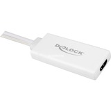 DeLOCK 62460 cavo e adattatore video 0,25 m HDMI tipo A (Standard) VGA (D-Sub) + USB Bianco bianco, 0,25 m, HDMI tipo A (Standard), VGA (D-Sub) + USB, Maschio, Femmina, 1920 x 1080 Pixel