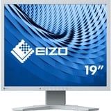 EIZO FlexScan S1934H-GY LED display 48,3 cm (19") 1280 x 1024 Pixel SXGA Grigio grigio, 48,3 cm (19"), 1280 x 1024 Pixel, SXGA, LED, 14 ms, Grigio