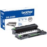 Brother DR-2400 tamburo per stampante Originale 1 pz Originale, Brother, HL-L2310D HL-L2350DW HL-L2357DW HL-L2370DN HL-L2375DW DCP-L2510D DCP-L2530DW DCP-L2537DW..., 1 pz, 12000 pagine, Stampa laser