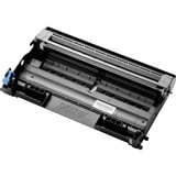 Brother Unità tamburo Originale, Brother, Brother DCP-7010 / DCP-7010L / FAX-2820 / HL-2030 / FAX-2920 / DCP-7025 / HL-2040 / HL-2070N /..., 1 pz, 12000 pagine, Stampa laser, Vendita al dettaglio