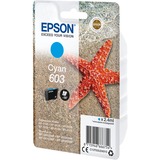 Epson Singlepack Cyan 603 Ink, Inchiostro Resa standard, 2,4 ml, 1 pz