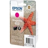 Epson Singlepack Magenta 603 Ink Resa standard, 2,4 ml, 1 pz
