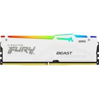 Kingston FURY KF556C36BWEA-32, Memoria bianco
