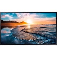 SAMSUNG QH55C, Public Display Nero