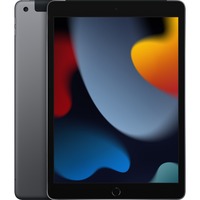 Apple iPad 4G LTE 256 GB 25,9 cm (10.2") Wi-Fi 5 (802.11ac) iPadOS 15 Grigio grigio, 25,9 cm (10.2"), 2160 x 1620 Pixel, 256 GB, iPadOS 15, 498 g, Grigio