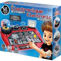 Electronic expert, Casella di esperimento Electronic expert, Casella di esperimento