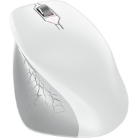 CHERRY JW-8550-0 mouse Universale Mano destra RF Wireless Ottico 4000 DPI bianco, Mano destra, Ottico, RF Wireless, 4000 DPI, Grigio, Bianco