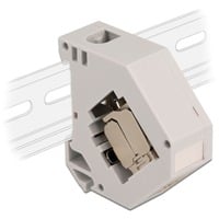 DeLOCK Adattatore su guida DIN con modulo Keystone RJ-45 > Cat.6a LSA, Modulo di Keystone grigio