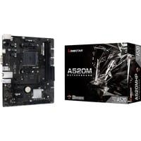 Biostar A520MHP, Scheda madre 