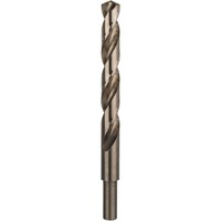 Bosch 2 608 585 871 punta per trapano Punta per trapano elicoidale 1 pz Trapano, Punta per trapano elicoidale, 1,3 cm, 151 mm, Ghisa, Acciaio non legato, Acciaio inox, 10,1 cm