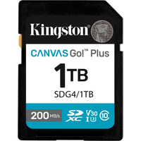 Kingston SDG4/1TB Nero