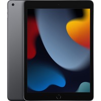 iPad 256 GB 25,9 cm (10.2) Wi-Fi 5 (802.11ac) iPadOS 15 Grigio