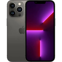 Apple iPhone 13 Pro 128GB Ricondizionato, Handy grigio