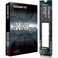 GIGABYTE G3NVMEV2256G, Disco a stato solido 