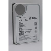 Seagate Exos X20 20 TB Ricondizionato, Hard-disk 
