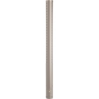 Rode Microphones NTG3, Microfono argento/Oro