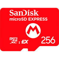 SanDisk 10016157, Scheda di memoria 