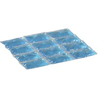 Campingaz 2000010674 borsa del ghiaccio, Elemento di raffreddamento blu, 195 mm, 240 mm, 18 mm