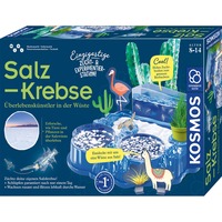 KOSMOS 63326 Giocattoli e kit di scienza per bambini, Casella di esperimento Kit per esperimenti, Biologia, 8 anno/i, Multicolore
