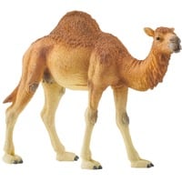 Schleich WILD LIFE Dromedario, Gioco figura 3 anno/i, Safari, Wild animals / adventure toys, Multicolore, Plastica, 1 pz