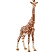 Schleich WILD LIFE Giraffa, femmina, Gioco figura femmina, 3 anno/i, Safari, Wild animals / adventure toys, Multicolore, Plastica, 1 pz