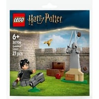LEGO Harry Potter Lezione di Quidditch, Giochi di costruzione Set da costruzione, 6 anno/i, Plastica, 27 pz, 30 g
