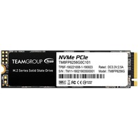 Team Group MP33 256 GB, Disco a stato solido 