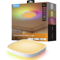 Govee 30cm RGBWW + RGBIC Lampada da Soffitto Quadrata Intelligente, Luce LED Lampada a soffitto intelligente, Wi-Fi/Bluetooth, Bianco, Lampadina di forma rettangolare, 2200 K, 6500 K