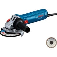 Bosch GWS 12-125 Professional, 06013A6104, Smerigliatrice angolare blu