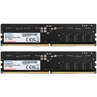 ADATA AD5U560032G-DT, Memoria Nero