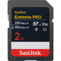 SanDisk SDSDXXD-2T00-GN4IN Nero