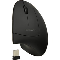 VM2, Mouse VM2, Mouse