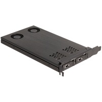 DeLOCK Scheda PCI Express x16 Delock telaio intercambiabile per 2 x M.2 NVMe SSD - Bifurcation, Inquadramento 