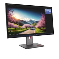 Lenovo P32UD-40(C25315UP0), Monitor LED Nero