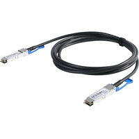 Digitus Cavo DAC QSFP28 100G, 2m 