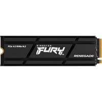 Kingston FURY Renegade Heatsink 500 GB Nero