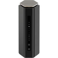 Netgear RS600-100EUS, Router