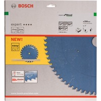 Bosch EXPERT Wood lama per sega circolare, Ø 250mm, 80 denti 