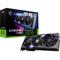 MSI V531-240R, Scheda grafica 