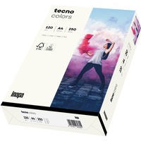 Inapa 2100011360, Carta